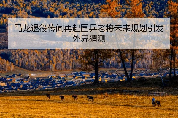 马龙退役传闻再起国乒老将未来规划引发外界猜测